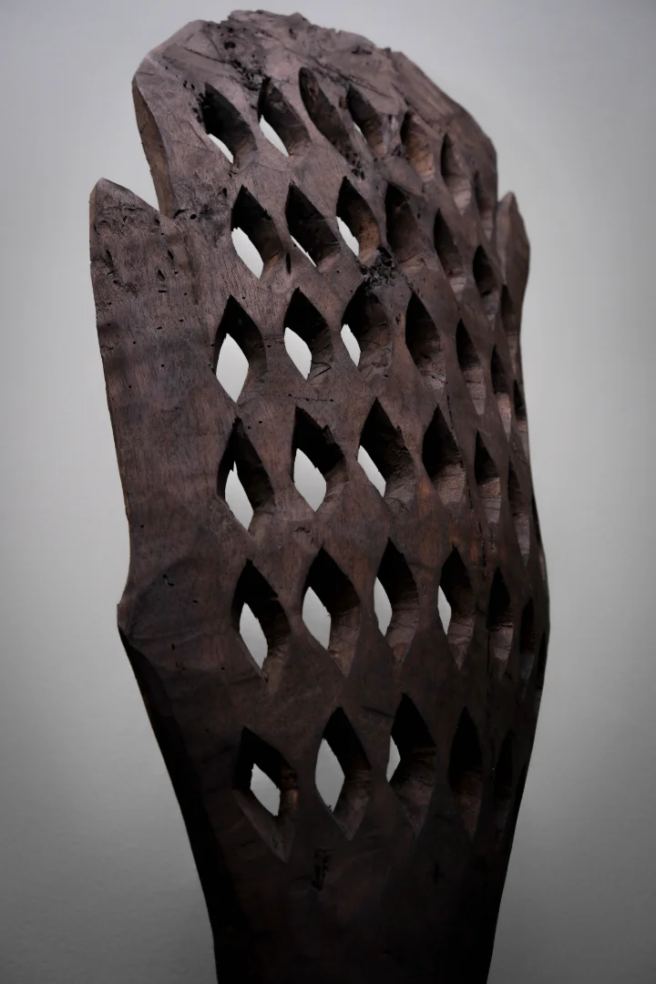 HONEYCOMB - Image 3